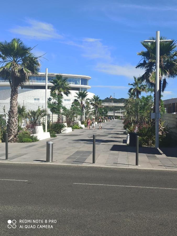 Port Studio Piscine, Parking, Prive,Navette Aeroport Agde Zewnętrze zdjęcie
